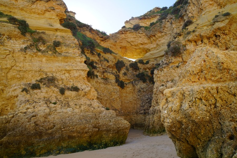 gal/diverses/Portugal Algarve 2017/DSC09246.JPG